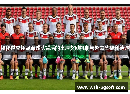 揭秘世界杯冠军球队背后的丰厚奖励机制与超豪华福利待遇