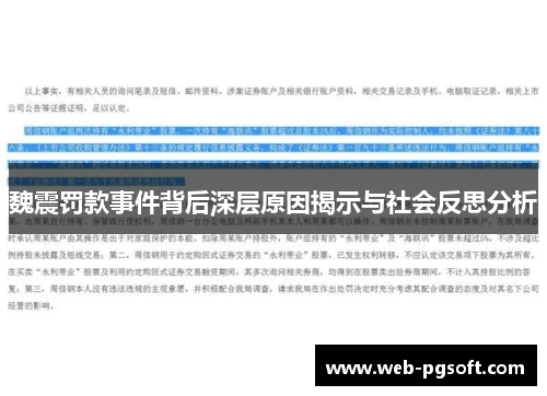 魏震罚款事件背后深层原因揭示与社会反思分析