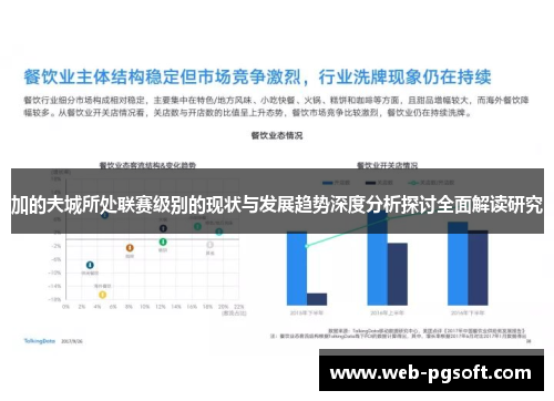 加的夫城所处联赛级别的现状与发展趋势深度分析探讨全面解读研究